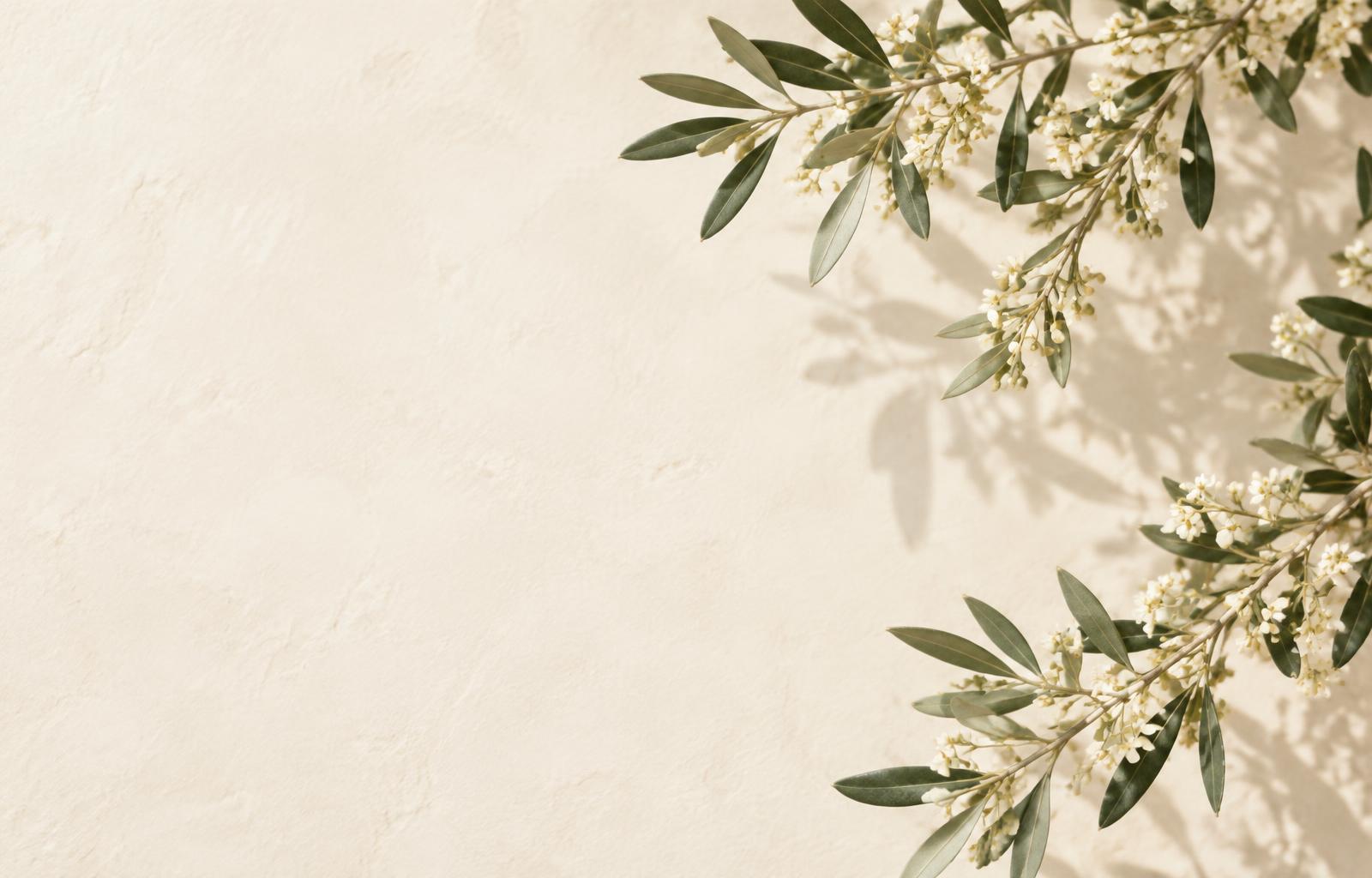 Delicate green branches and ivory blossoms in natural light